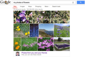 google search